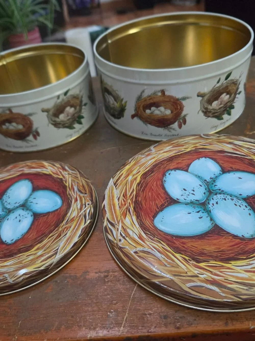 robins nest tins set of two nice artwork displayed on tins two sizes